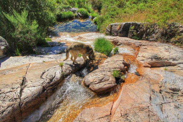 IMG_3847-01-e1544013397556 Tinoco