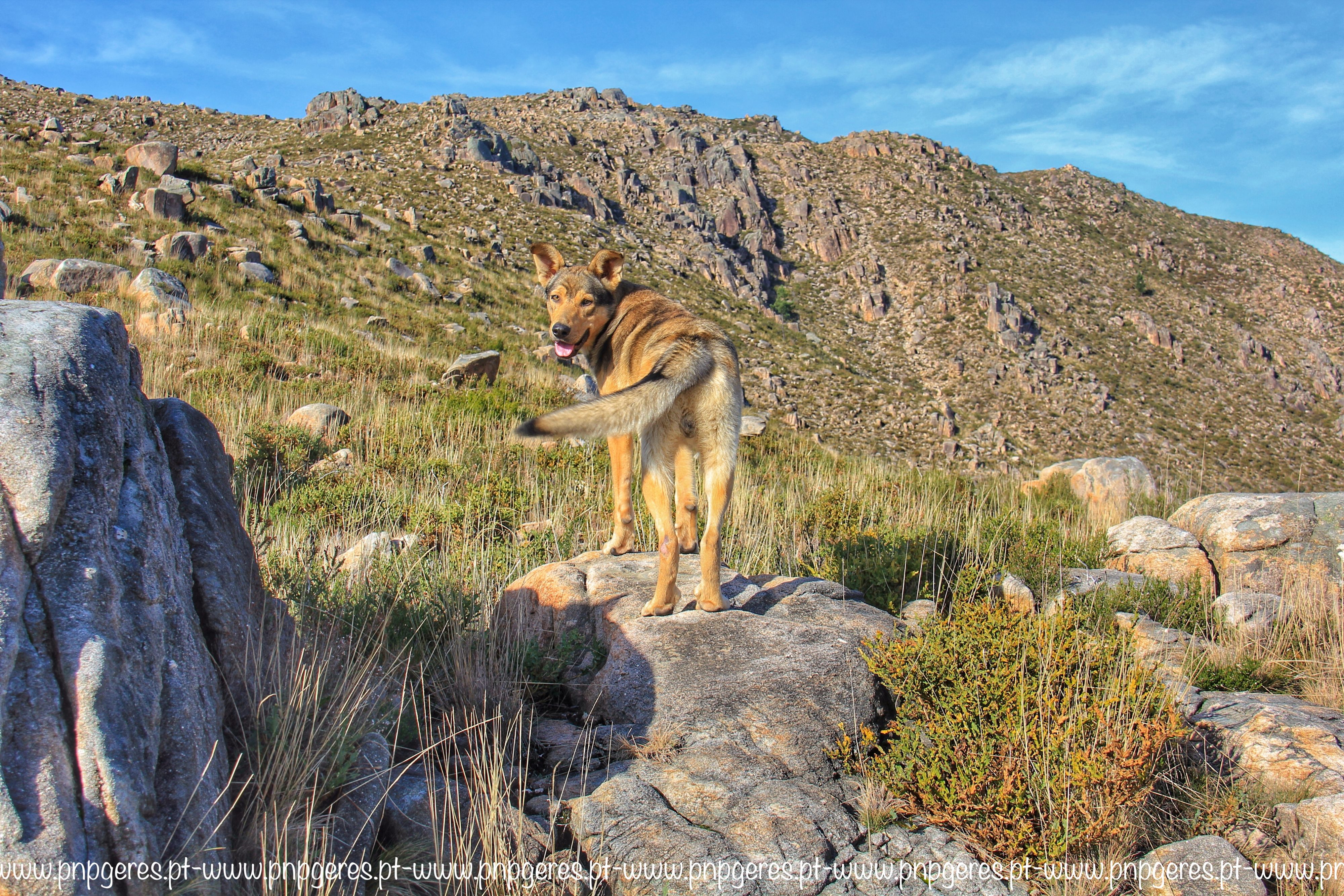 Tinoco-03.05.2018-e1525348867466 Tinoco