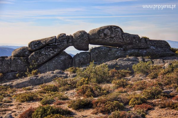 Pedra-Laço-II-e1545585109259 Cabra-Montês – Capra Pyrenaica