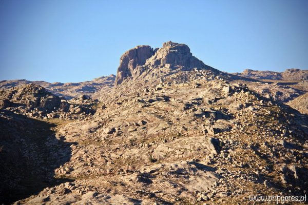 Borrageiro-I-e1547414945482 Garranos no Parque Nacional