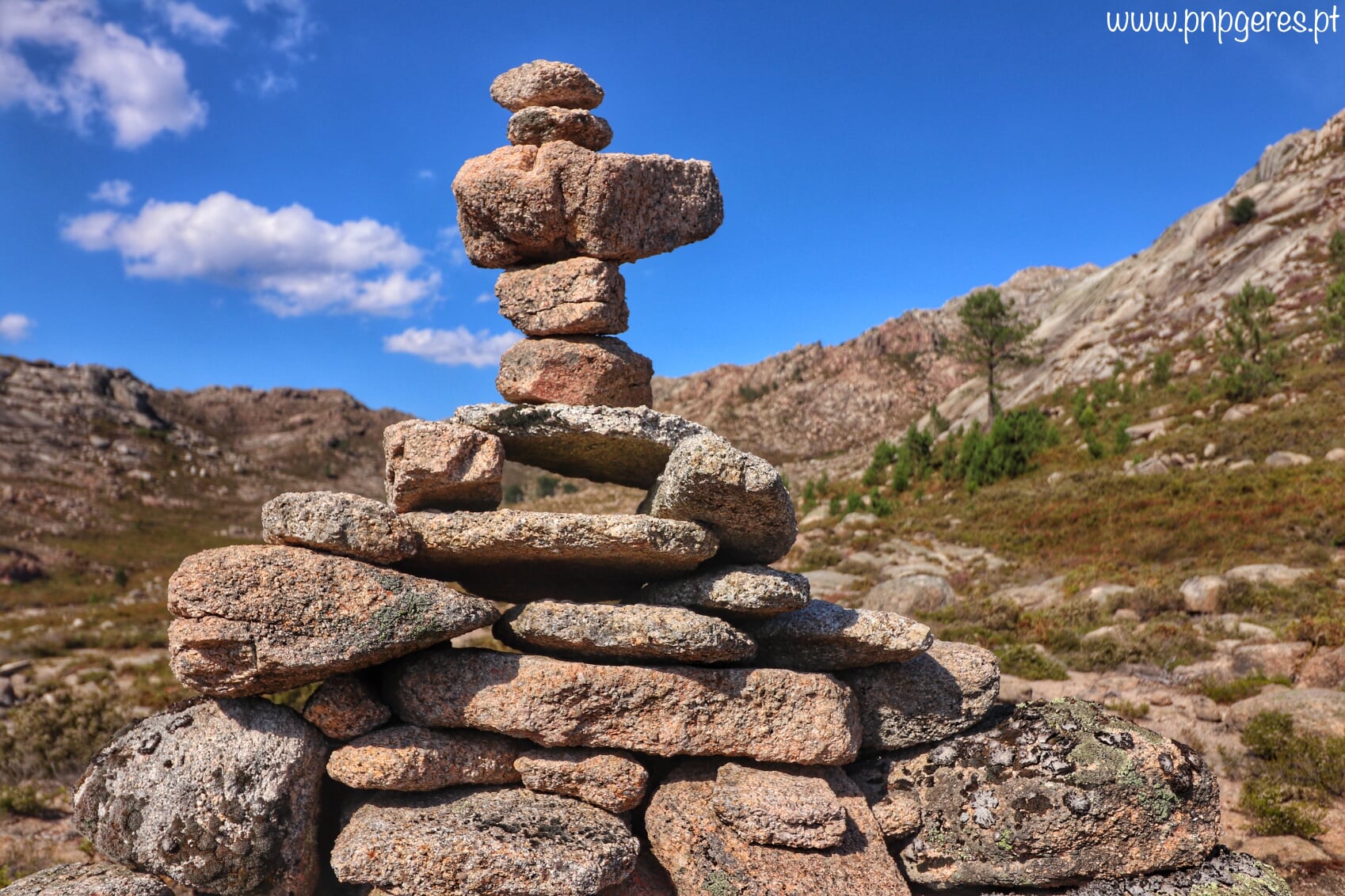 Mariola-07-1 Cabra-Montês – Capra Pyrenaica