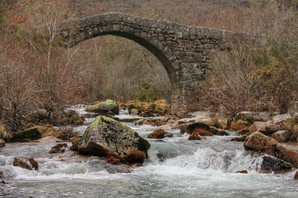 IMG_7922-01-1-e1545223212192 Cabra-Montês – Capra Pyrenaica