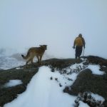 IMG_1020-150x150 Mariola