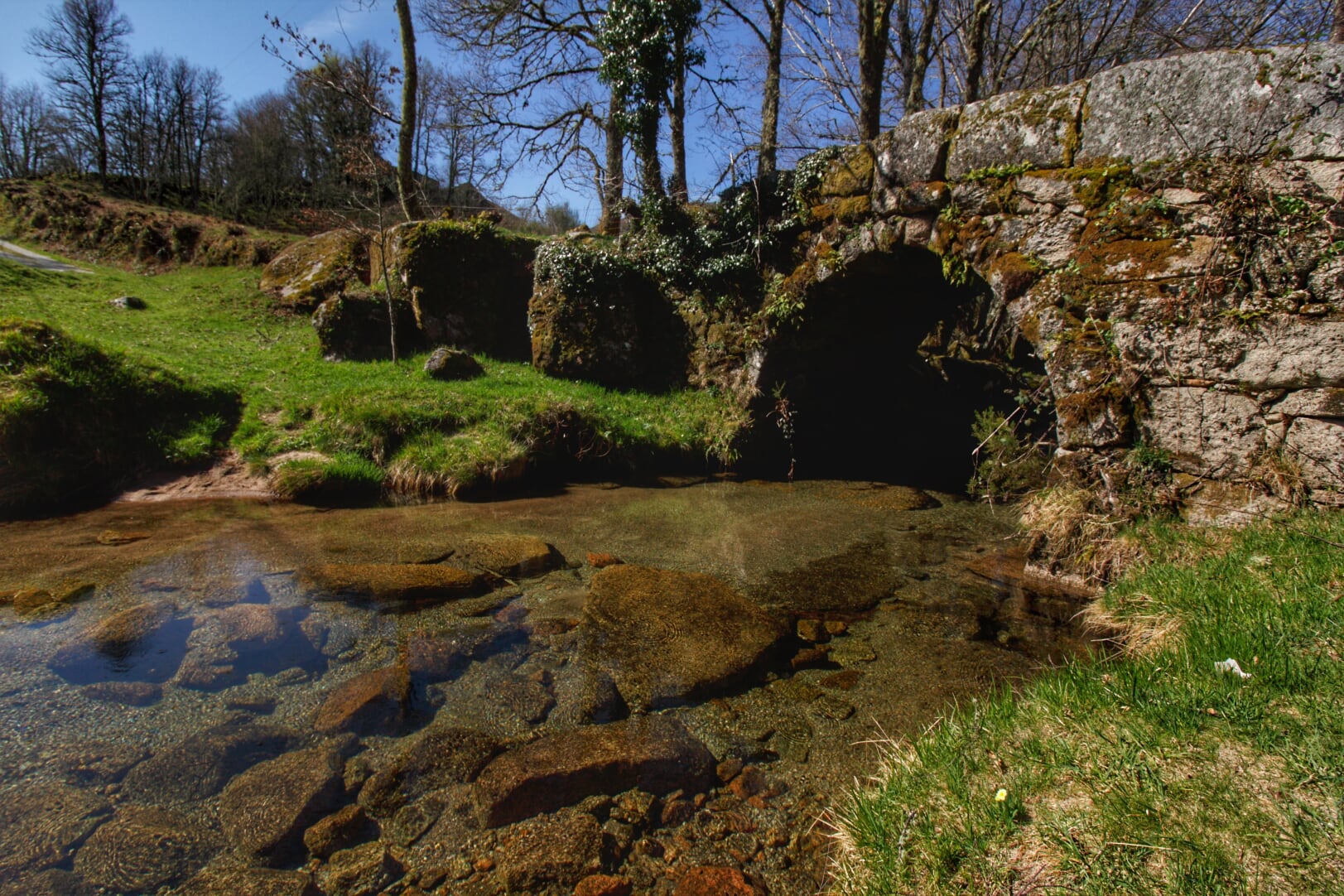 IMG_1375_PNPG-01 Cabra-Montês – Capra Pyrenaica
