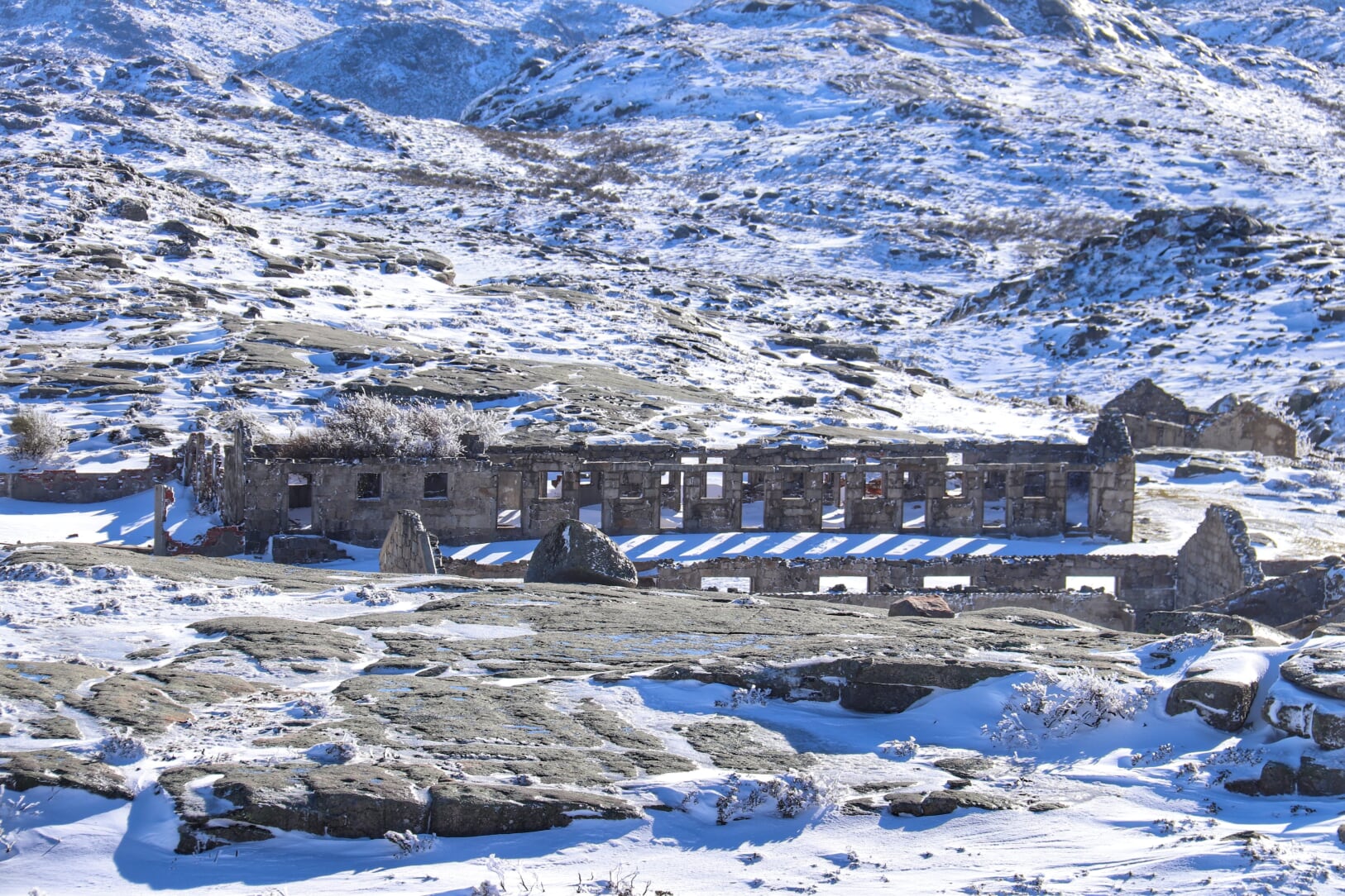 IMG_5909-01 Cabra-Montês – Capra Pyrenaica