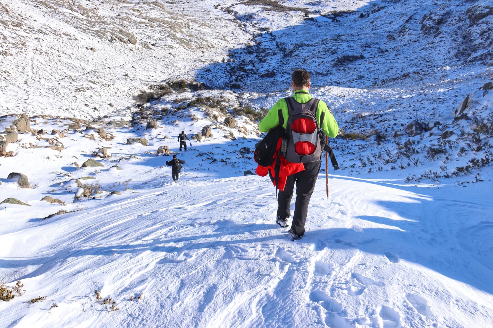 IMG_5978-01 Garranos no Parque Nacional