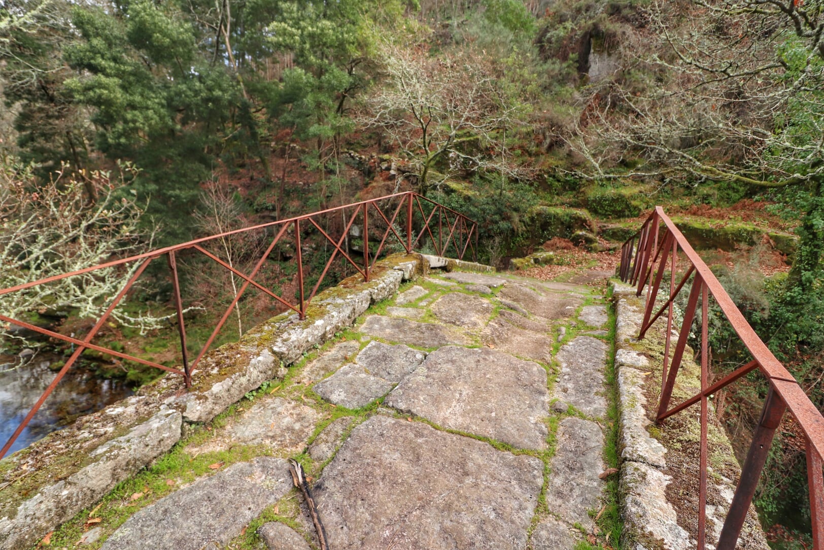 IMG_6649-01 Garranos no Parque Nacional