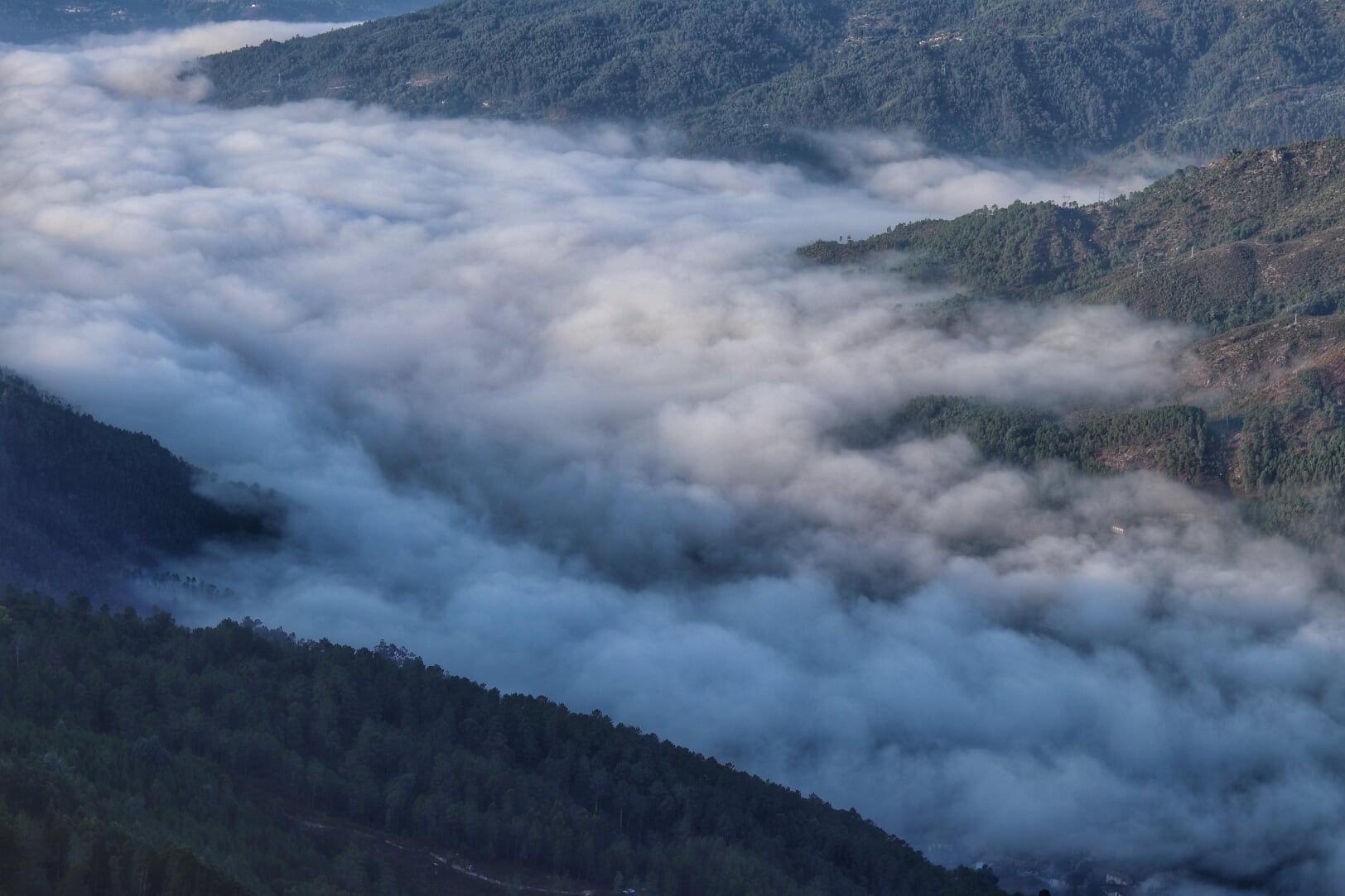 IMG_3620-02 Cabra-Montês – Capra Pyrenaica