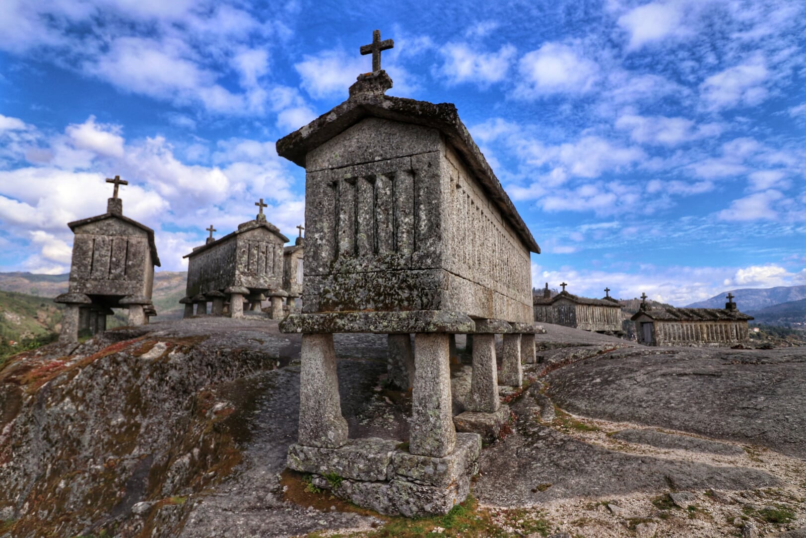IMG_6610-01 Cabra-Montês – Capra Pyrenaica