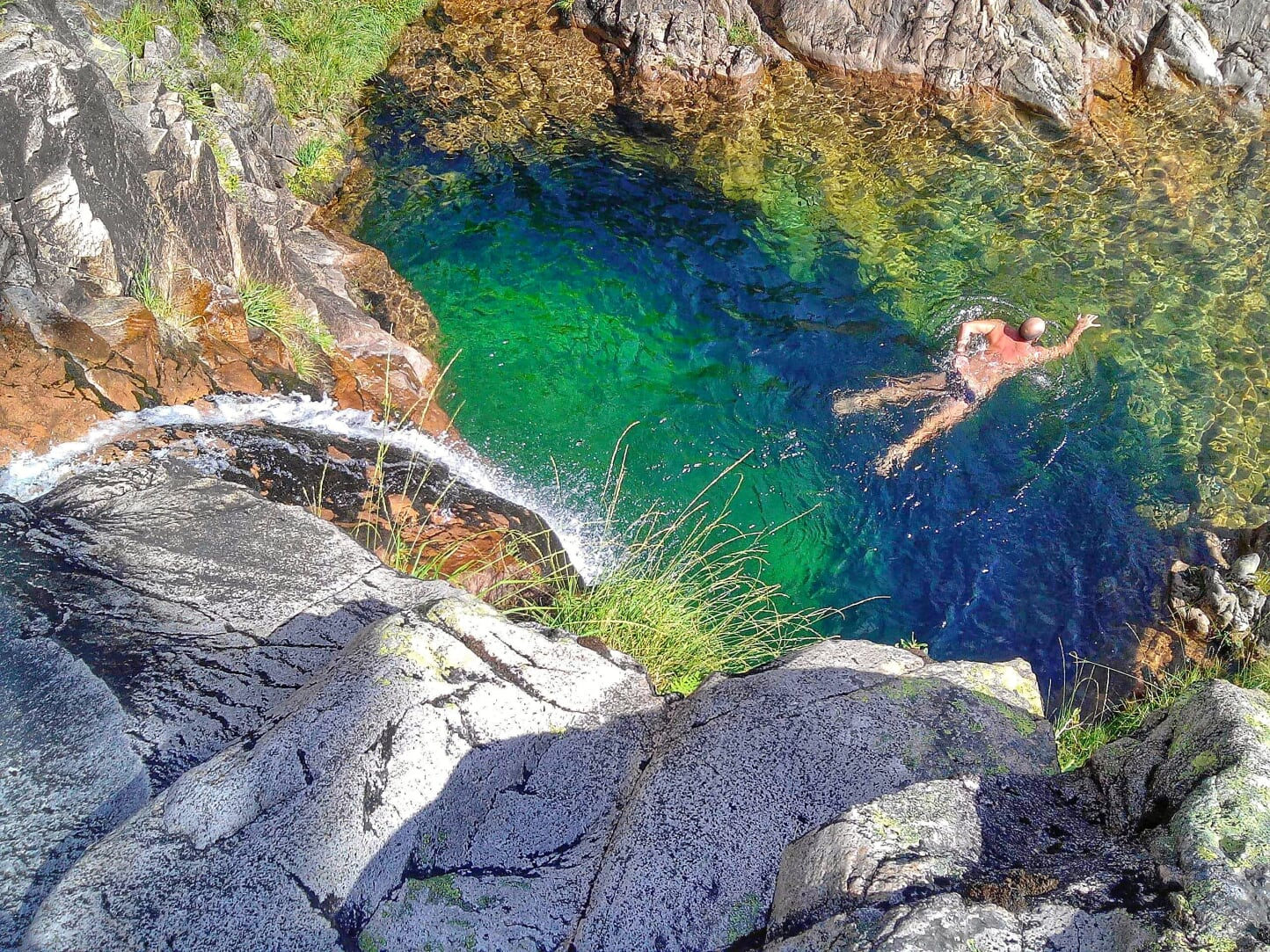 received_2204810616255682-01 Cabra-Montês – Capra Pyrenaica