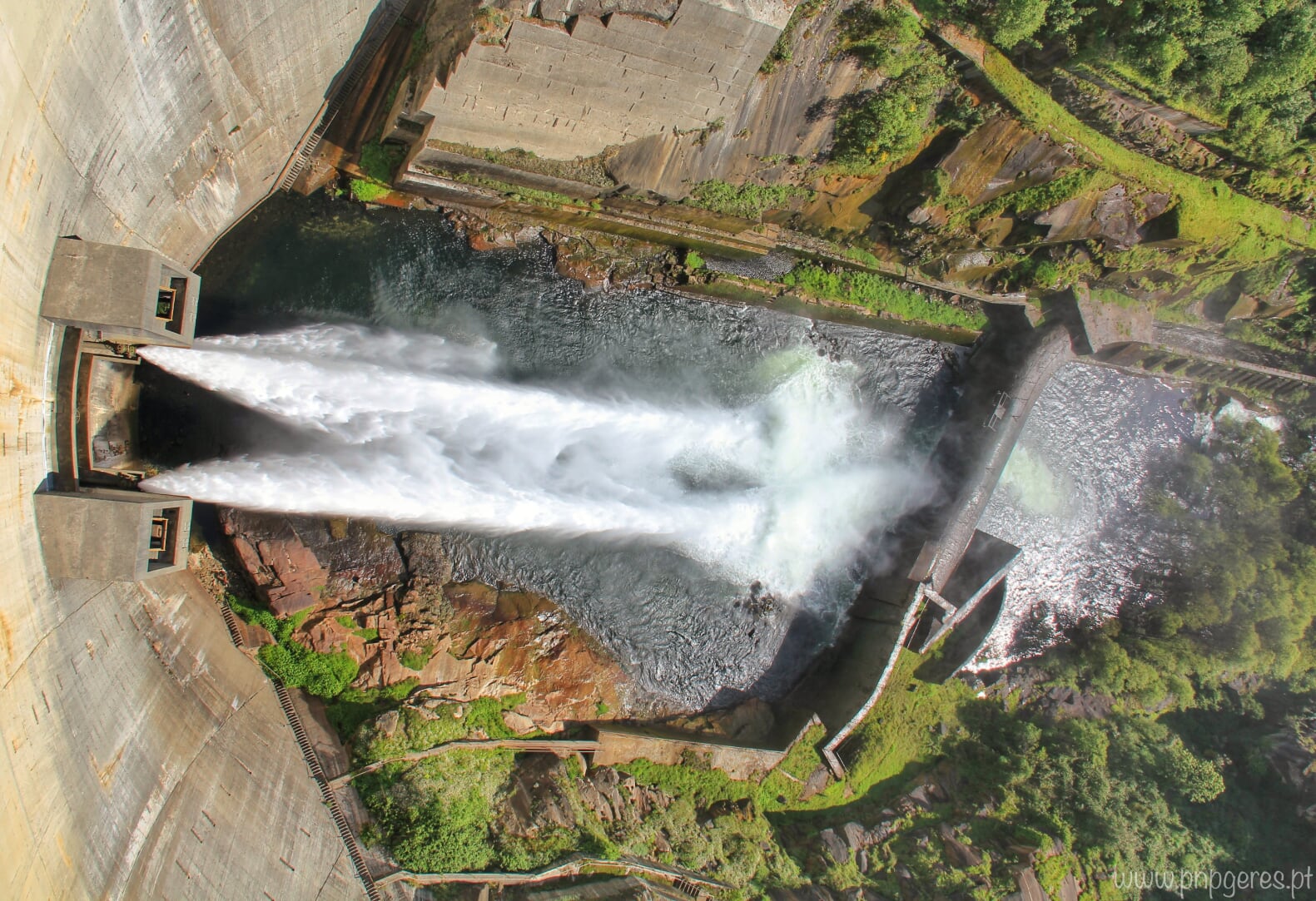Barragem-I Cabra-Montês – Capra Pyrenaica