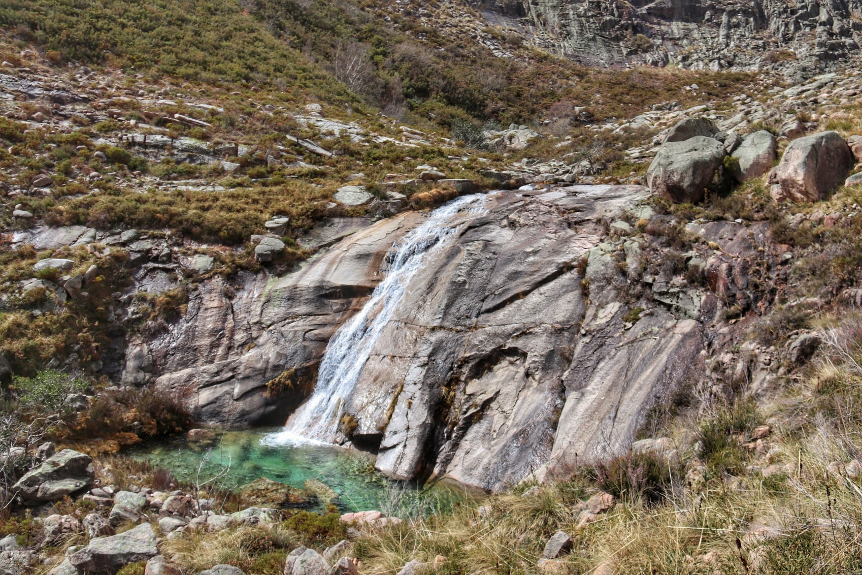 IMG_6832-01 Cabra-Montês – Capra Pyrenaica