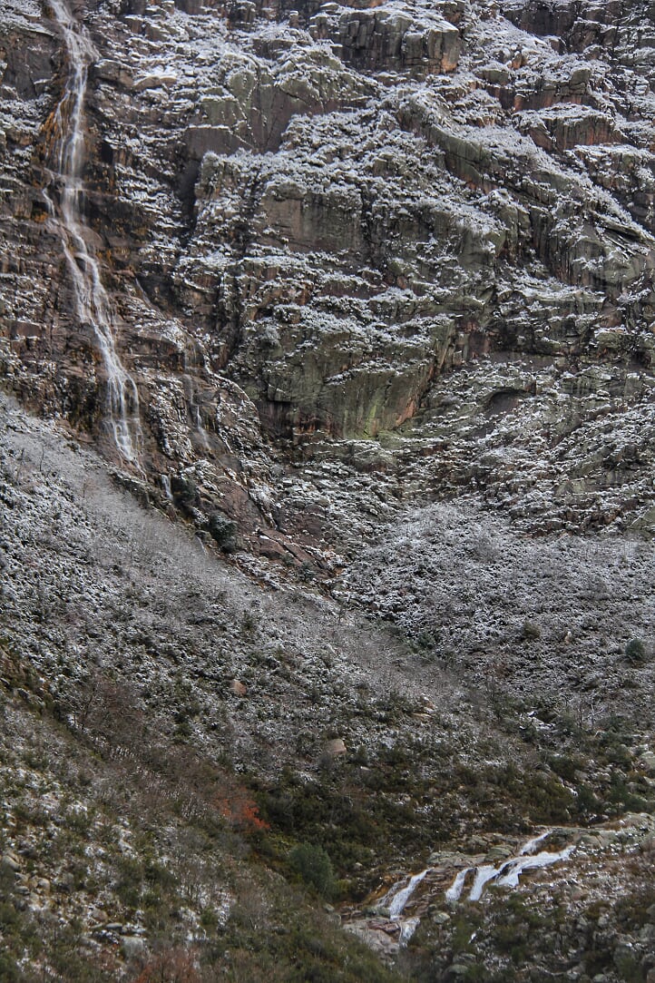 PNPG_IMG_7466-01 Cabra-Montês – Capra Pyrenaica