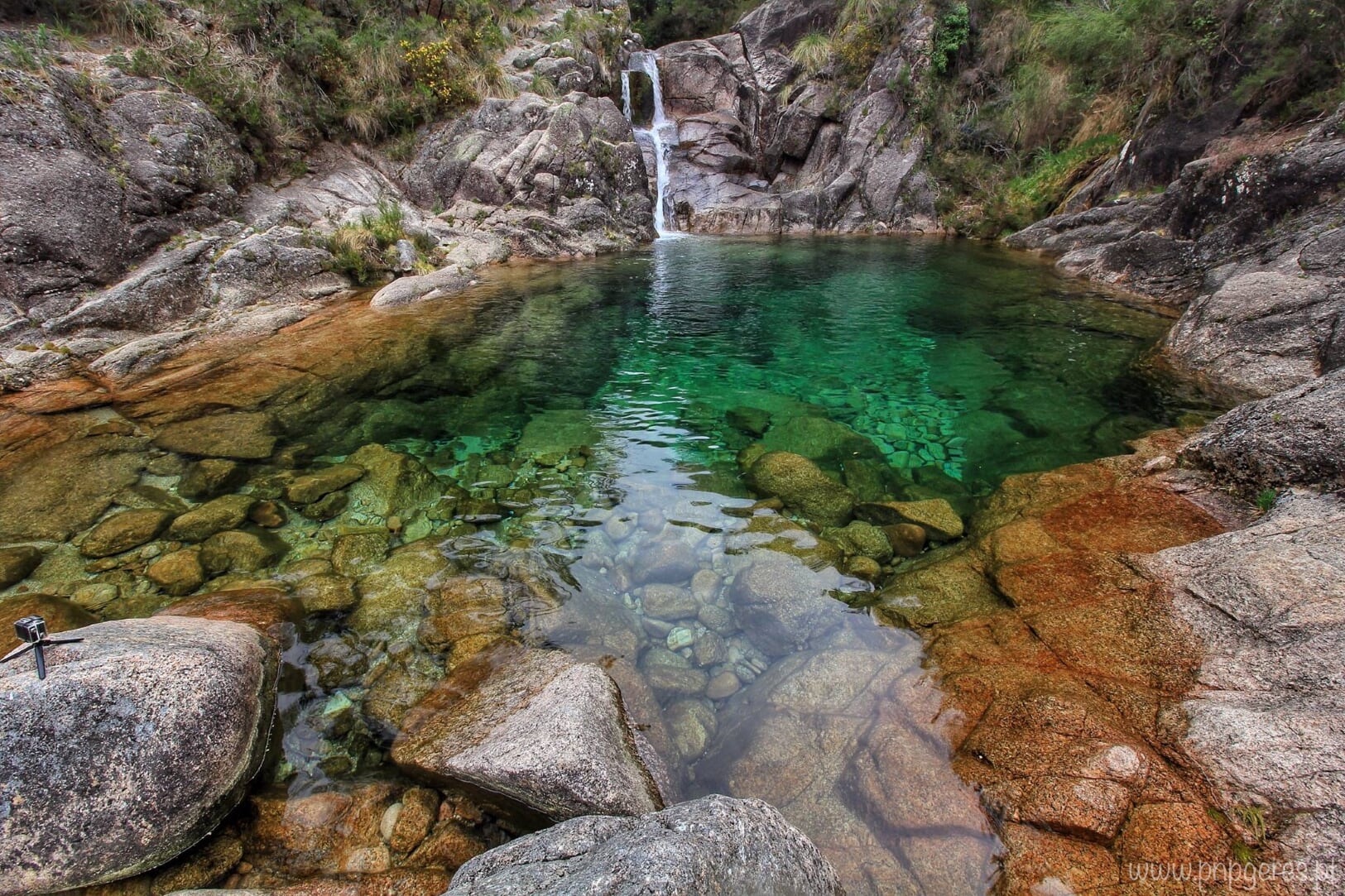 Poço-Verde-II-07 Garranos no Parque Nacional