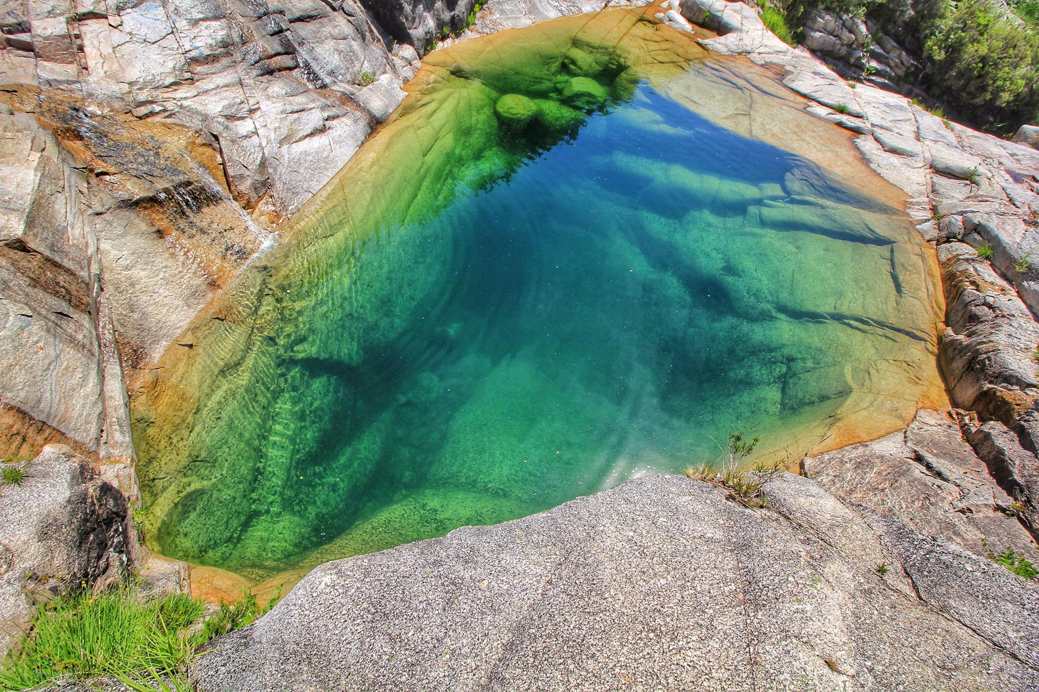 19024986_1458397897553231_2982590281257580213_o Cabra-Montês – Capra Pyrenaica