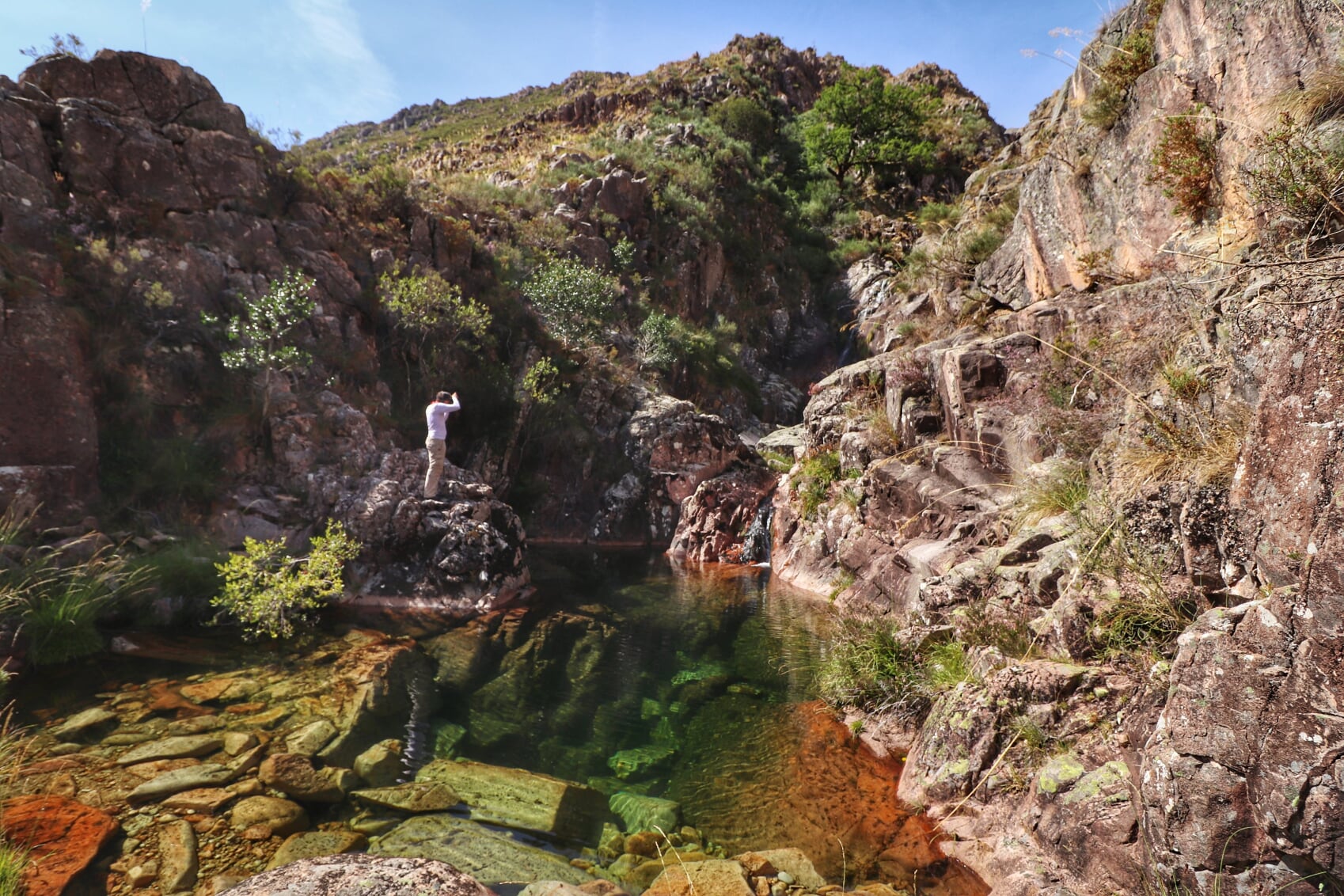 IMG_2986-01 Cabra-Montês – Capra Pyrenaica