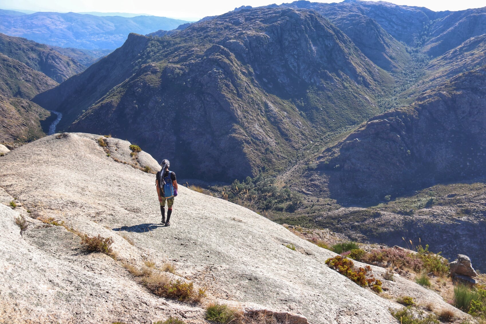 IMG_3539-01 Cabra-Montês – Capra Pyrenaica