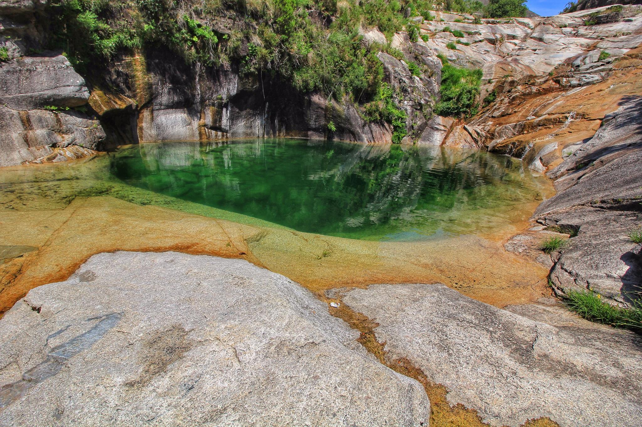 18518056_1429236430469378_7494226719526245790_o Cabra-Montês – Capra Pyrenaica