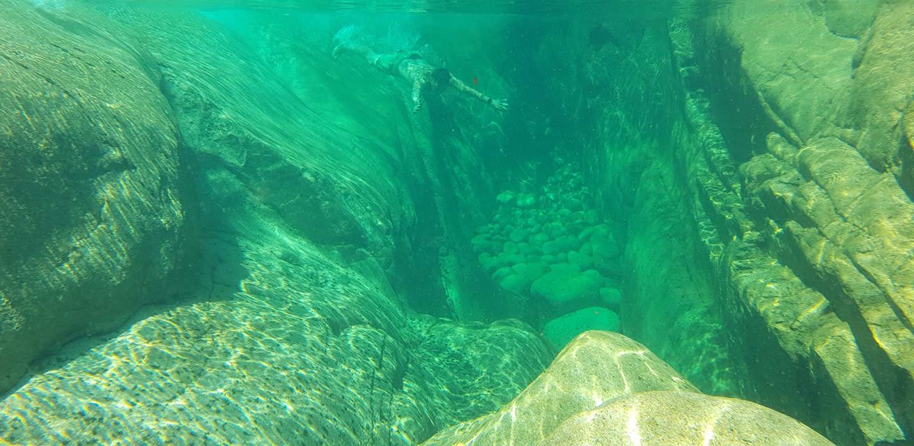 39543569_1927870857272597_1034769492619558912_o Garranos no Parque Nacional