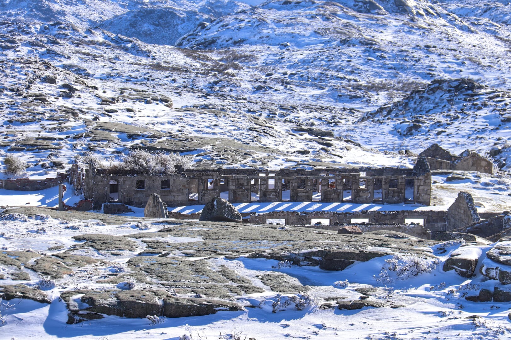 IMG_5909-01-1 Cabra-Montês – Capra Pyrenaica