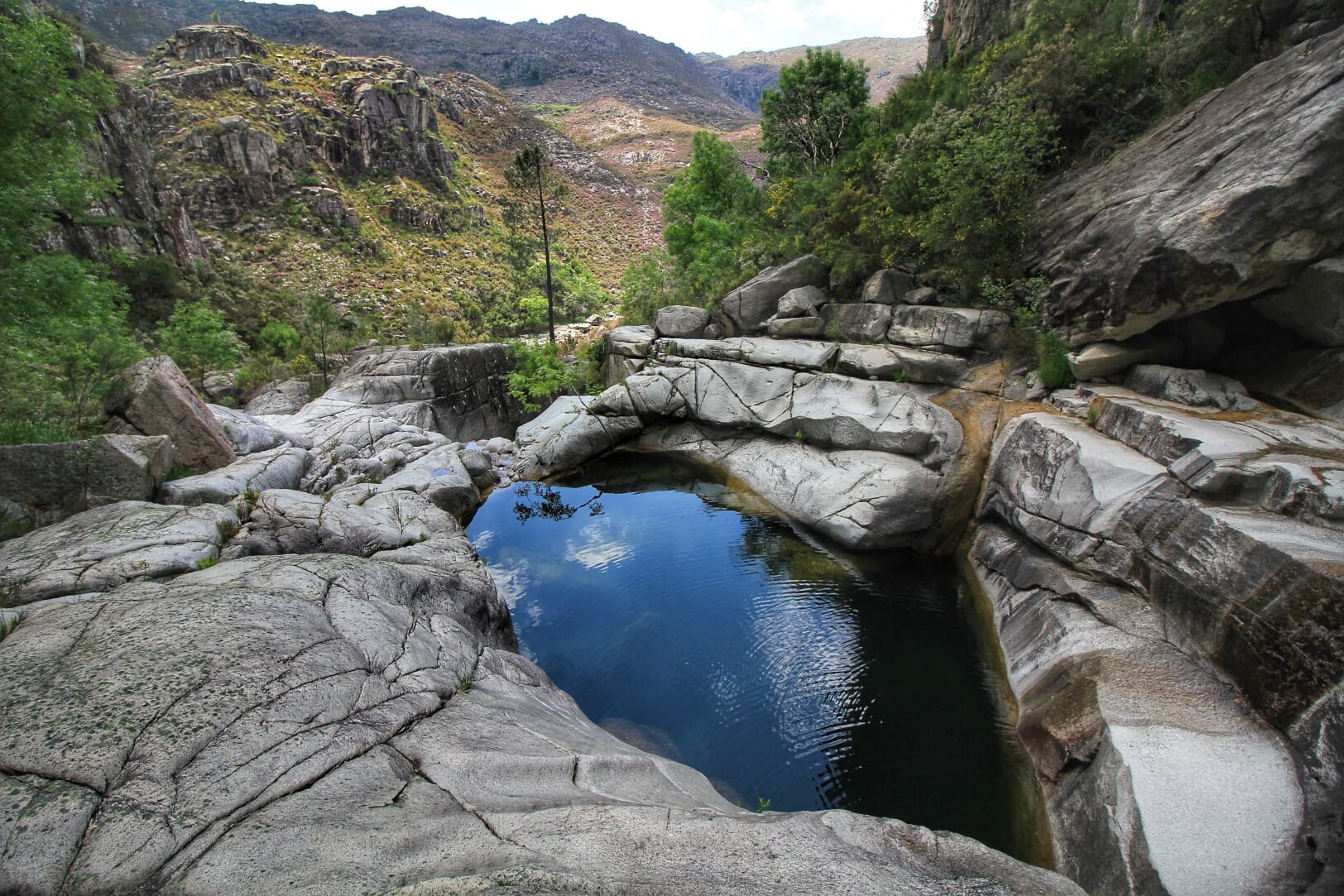 IMG_9262_PNPG-01 Cabra-Montês – Capra Pyrenaica