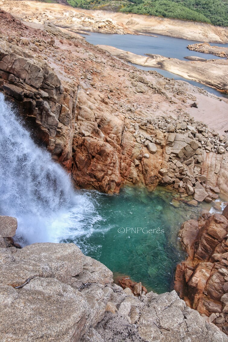 Poço_Desaparece Cabra-Montês – Capra Pyrenaica