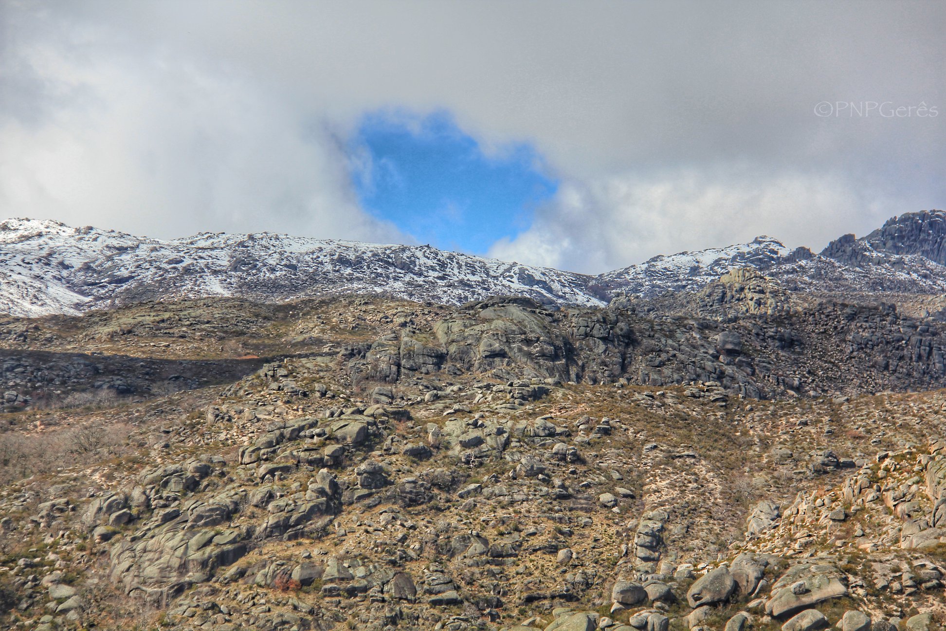 74341485_1380075345489480_3289436604996780032_o Cabra-Montês – Capra Pyrenaica