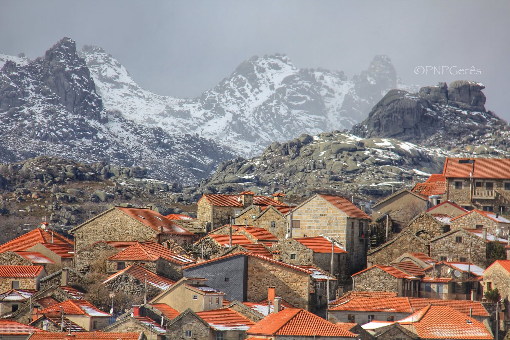 Pitões_08 Cabra-Montês – Capra Pyrenaica