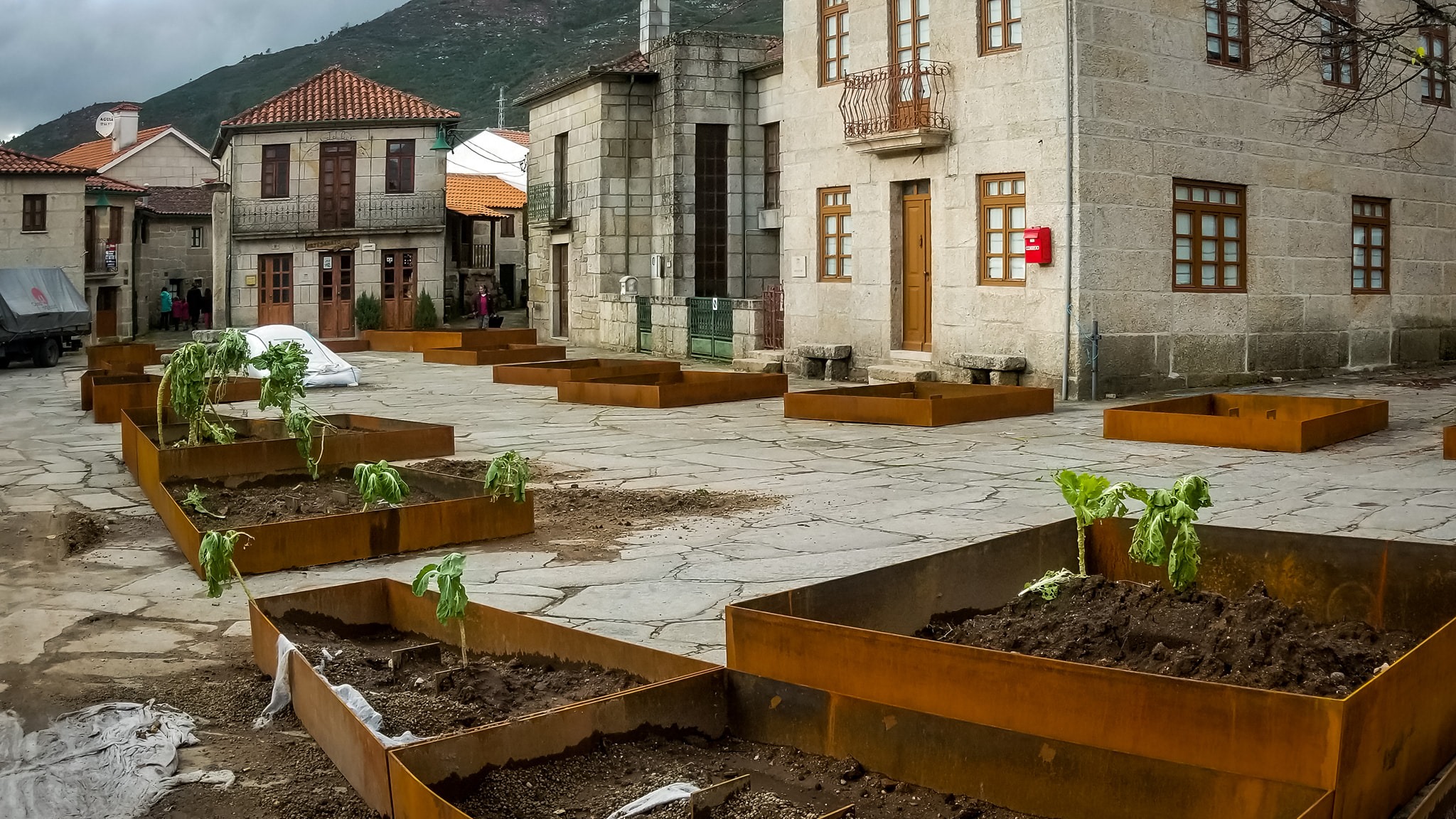 78770985_2131802190461958_8985460724448886784_o Cabra-Montês – Capra Pyrenaica