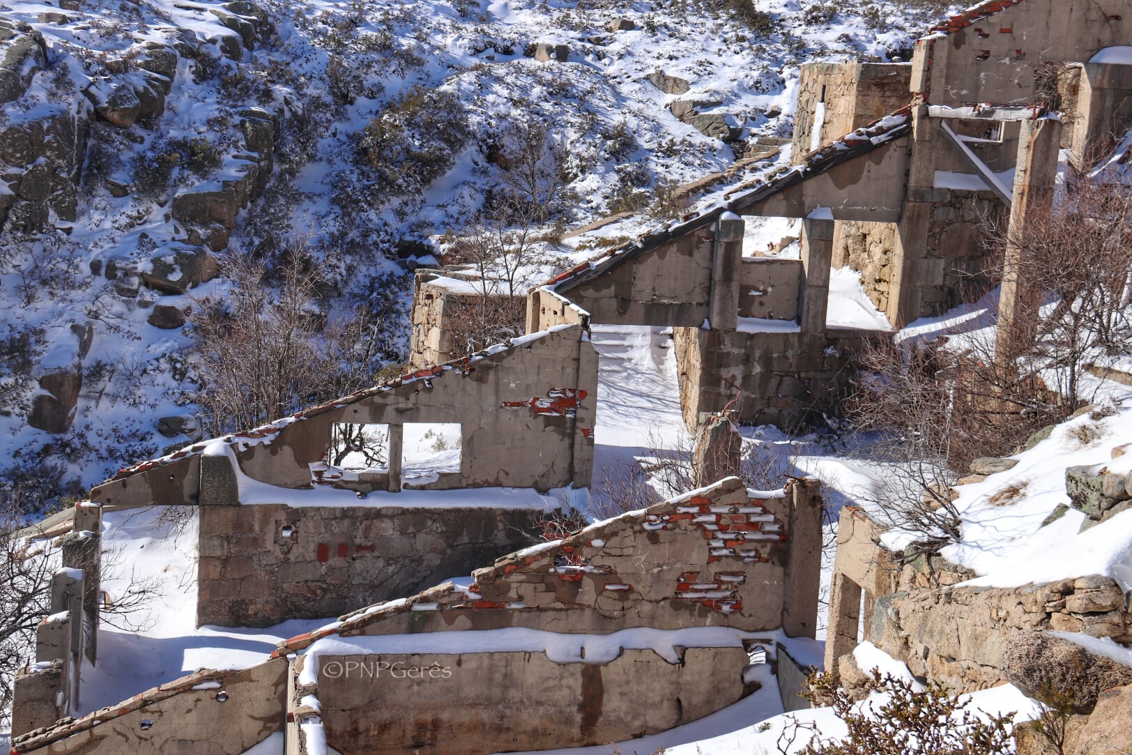 IMG_5856-01 Garranos no Parque Nacional