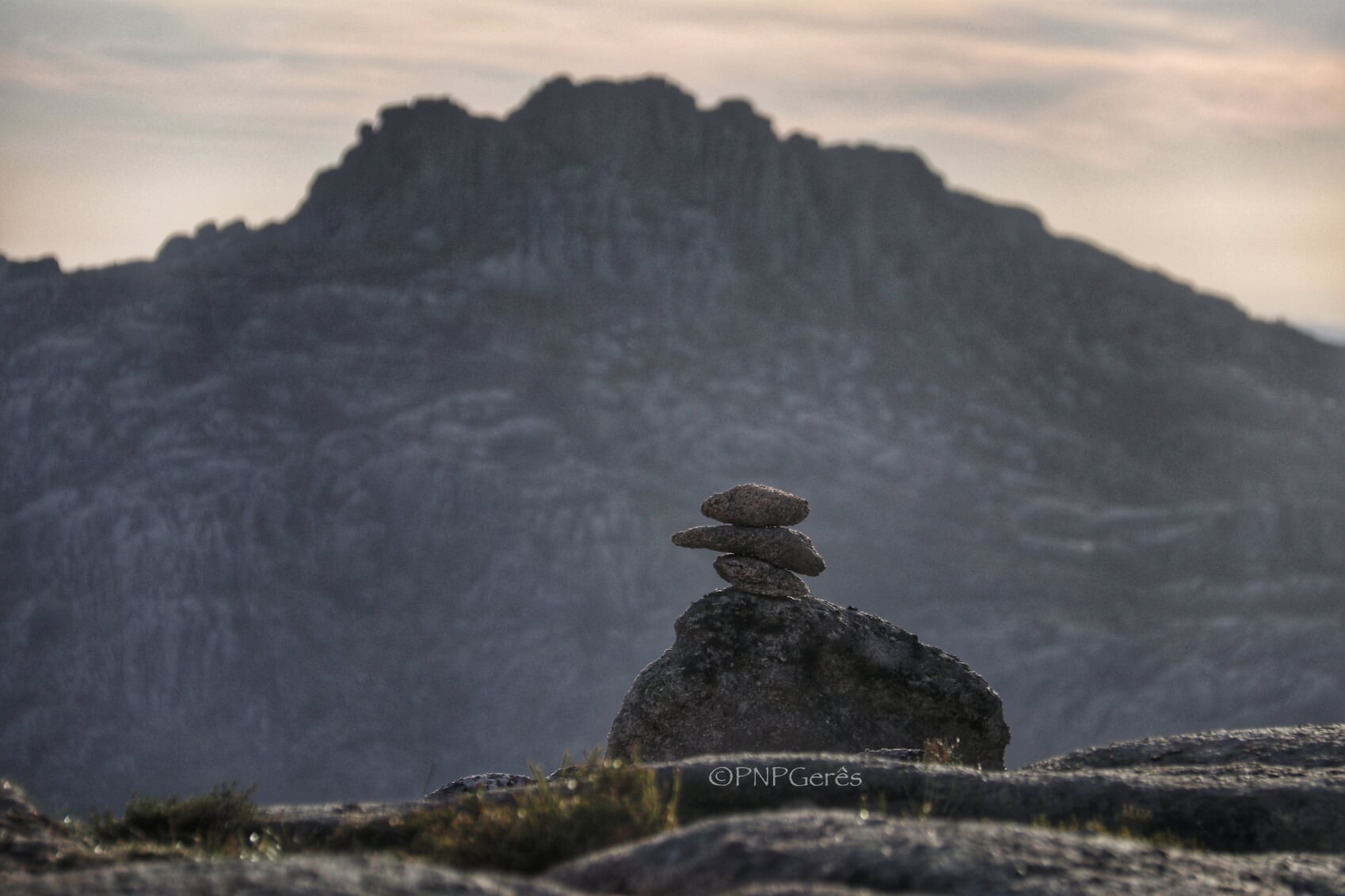 IMG_7052-01 Cabra-Montês – Capra Pyrenaica