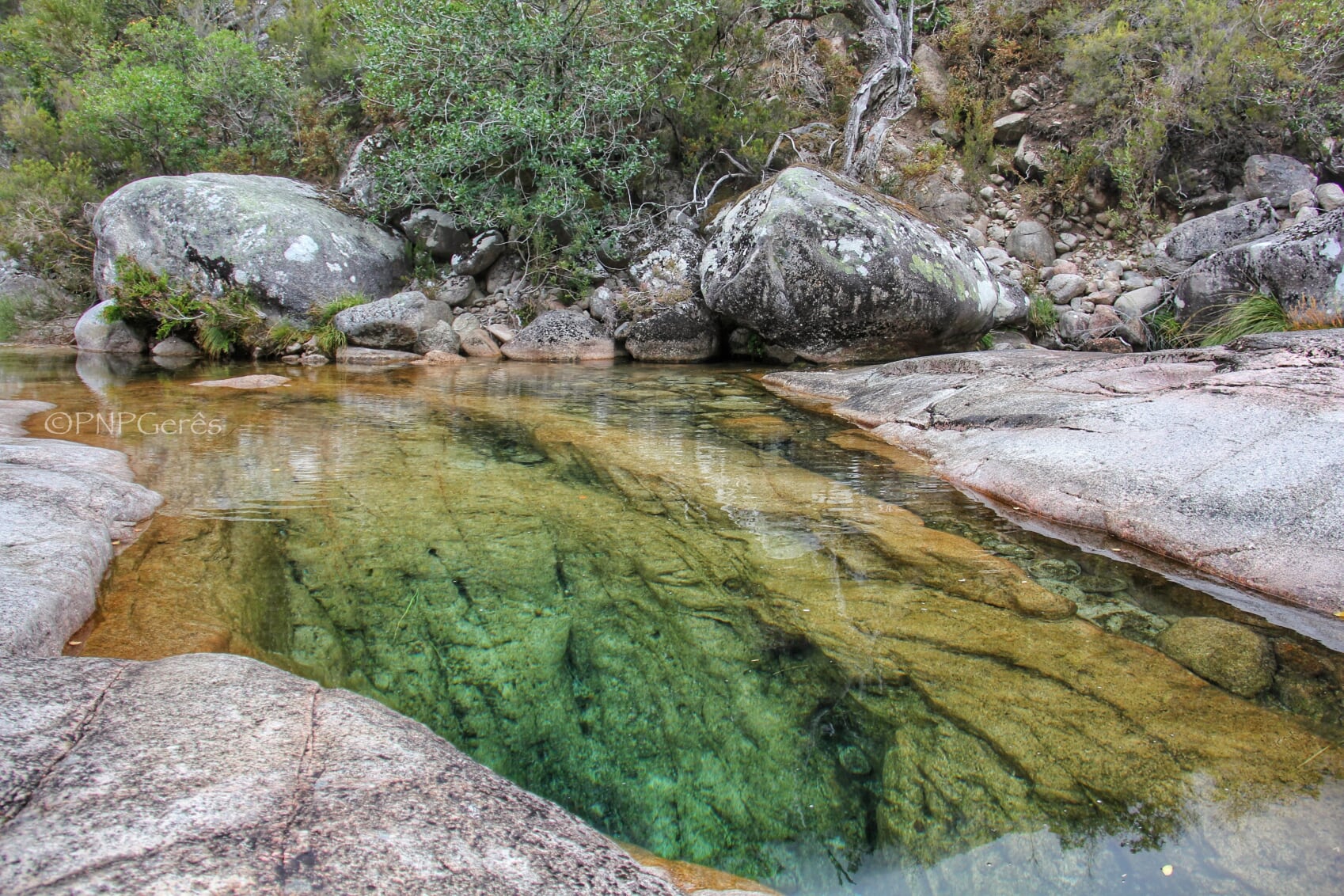 PNPG_IMG_5386-01 Garranos no Parque Nacional