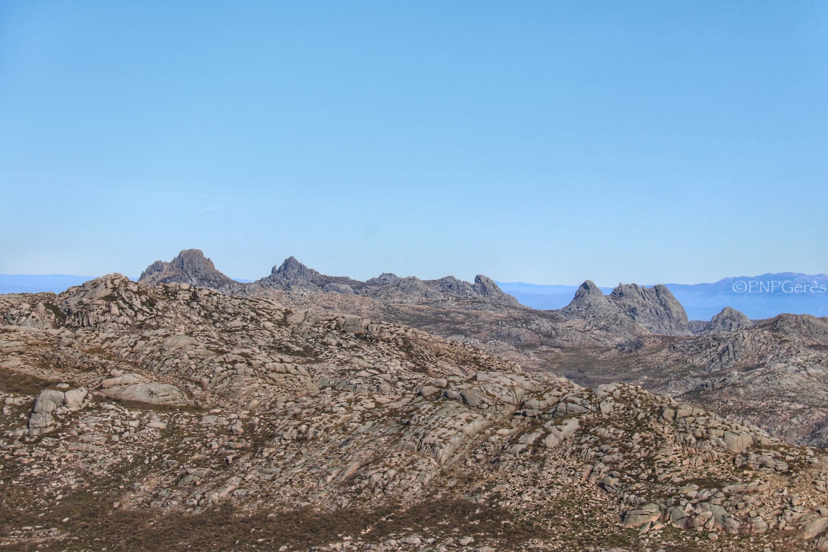 IMG_0512-01 Garranos no Parque Nacional