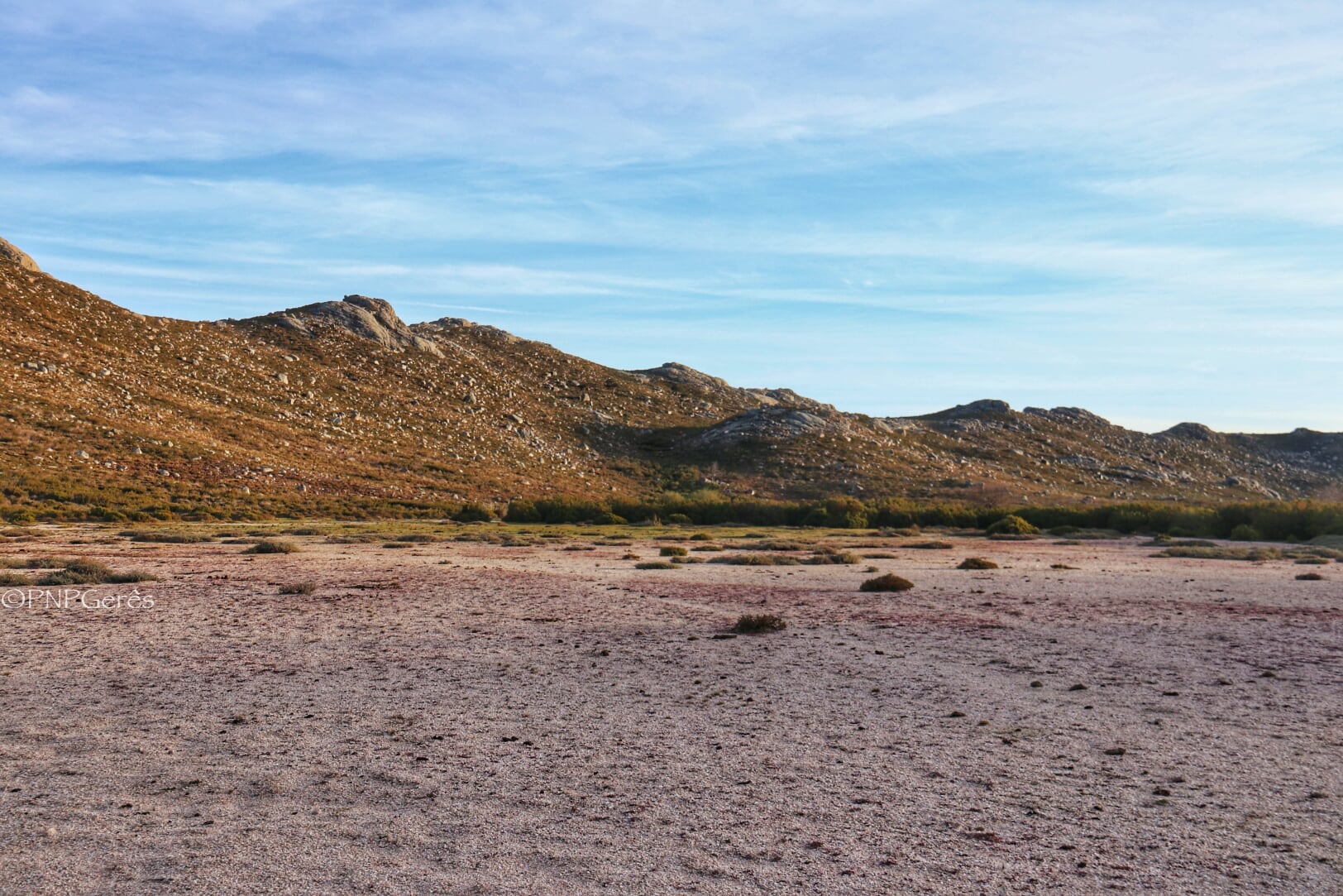 IMG_0661-01 Garranos no Parque Nacional