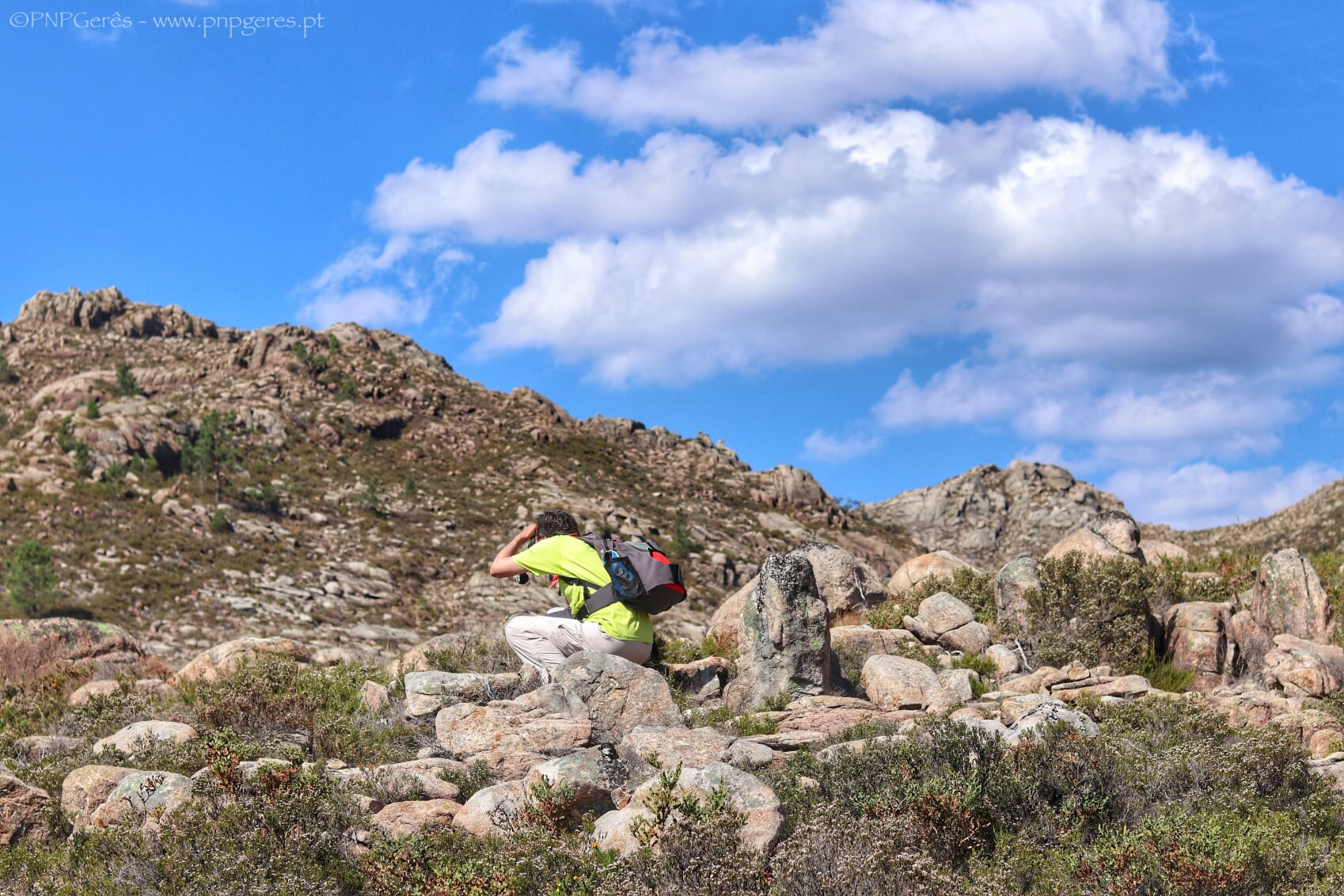 IMG_3875-01-1 Garranos no Parque Nacional