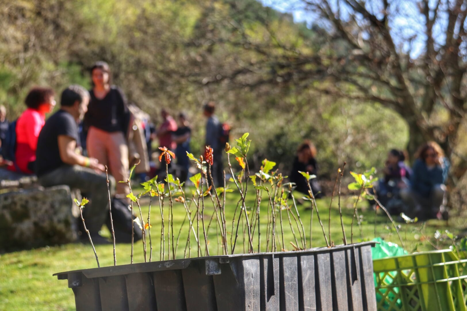 IMG_0951-01 Garranos no Parque Nacional