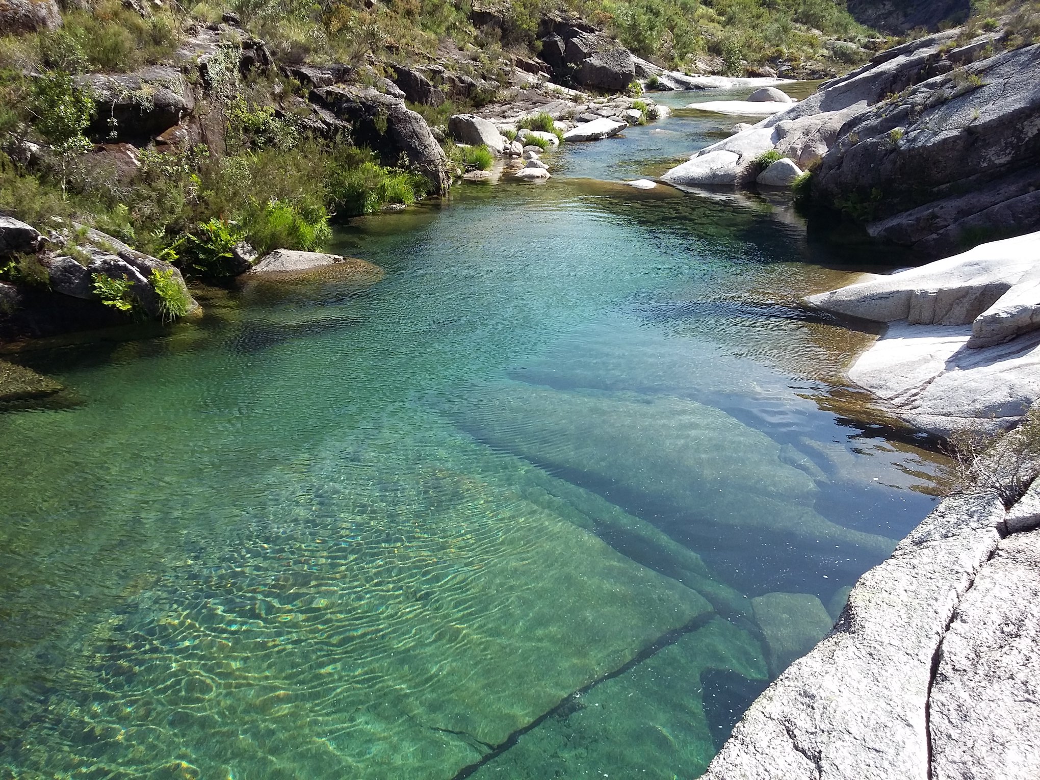 93429686_662318864340882_6574469773298499584_o Garranos no Parque Nacional