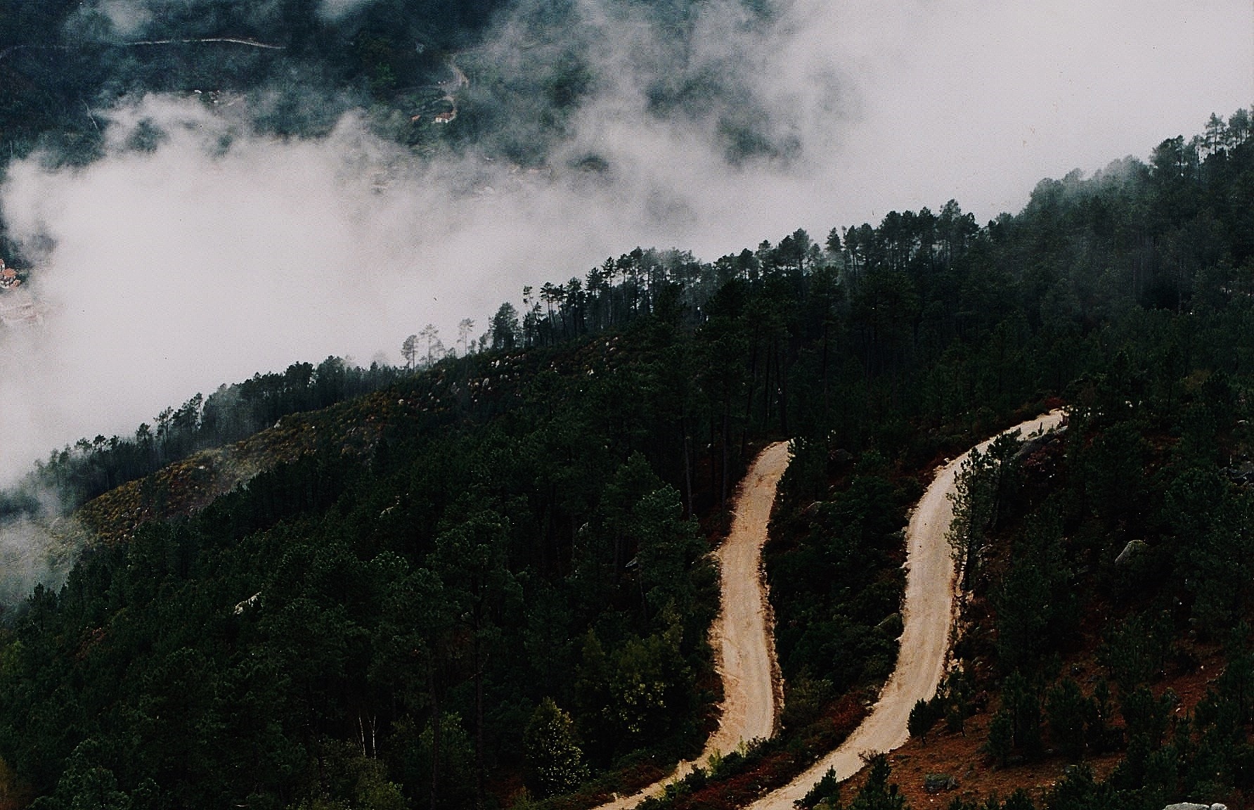82917752_2656294667918895_9171980150407954432_o Garranos no Parque Nacional