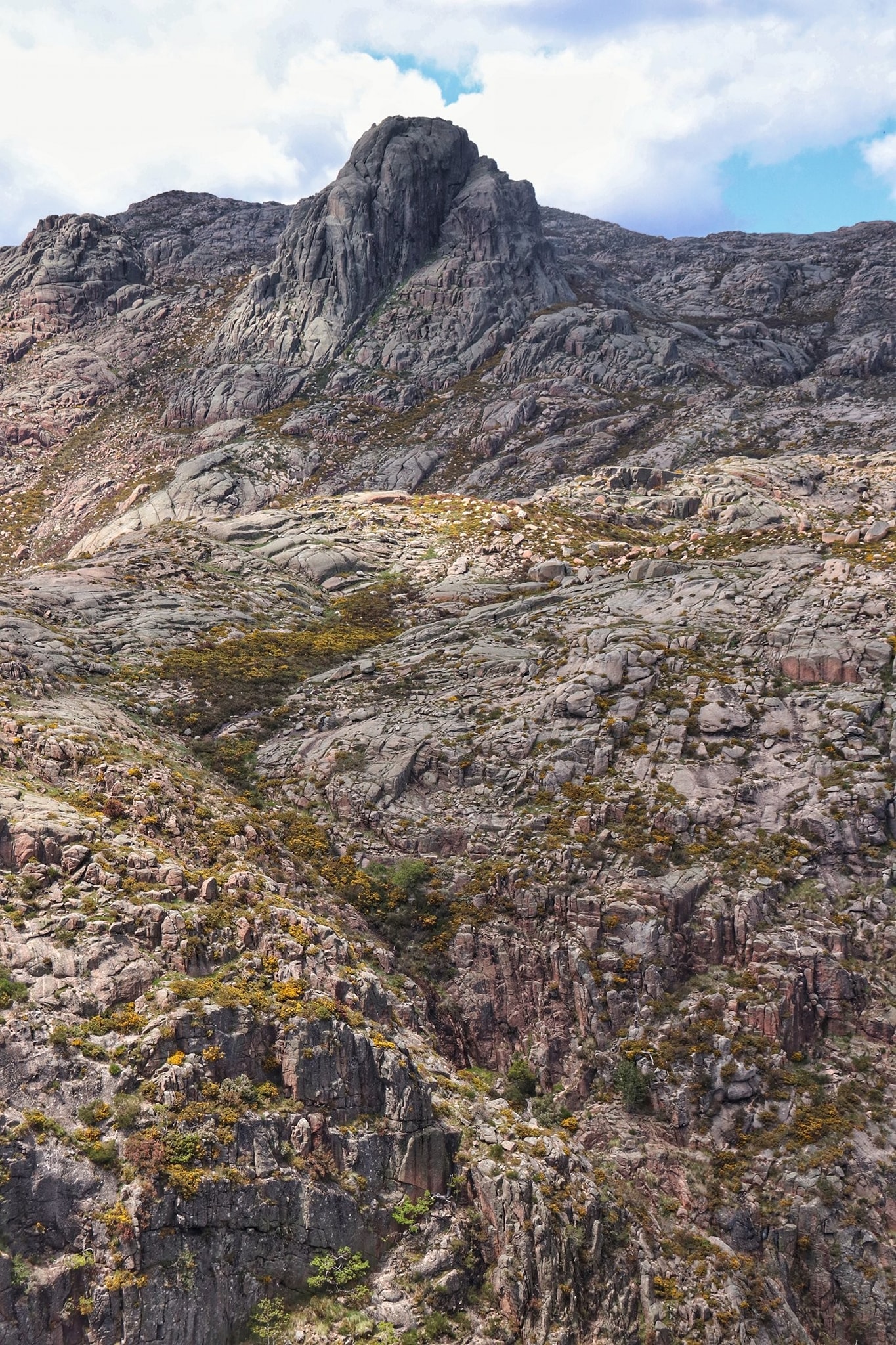 99122703_1547538598743153_3744640264346533888_o Garranos no Parque Nacional