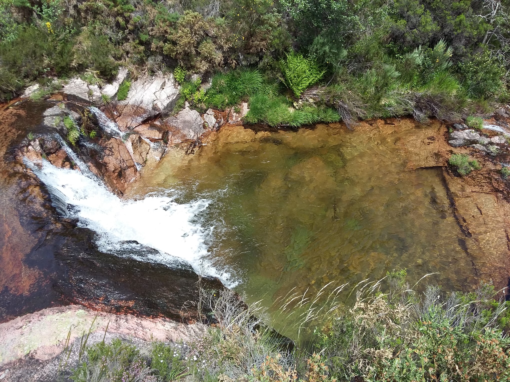 100073702_685845051988263_2229359614585995264_o Garranos no Parque Nacional