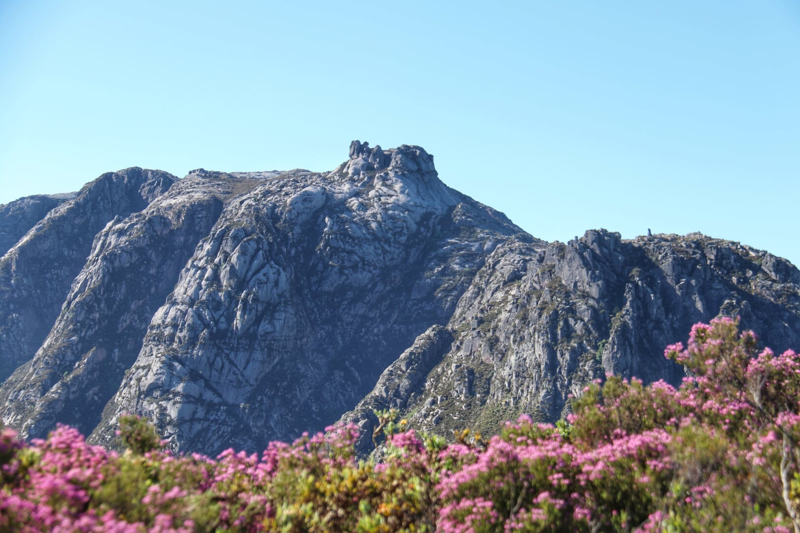 IMG_0914-01 Garranos no Parque Nacional