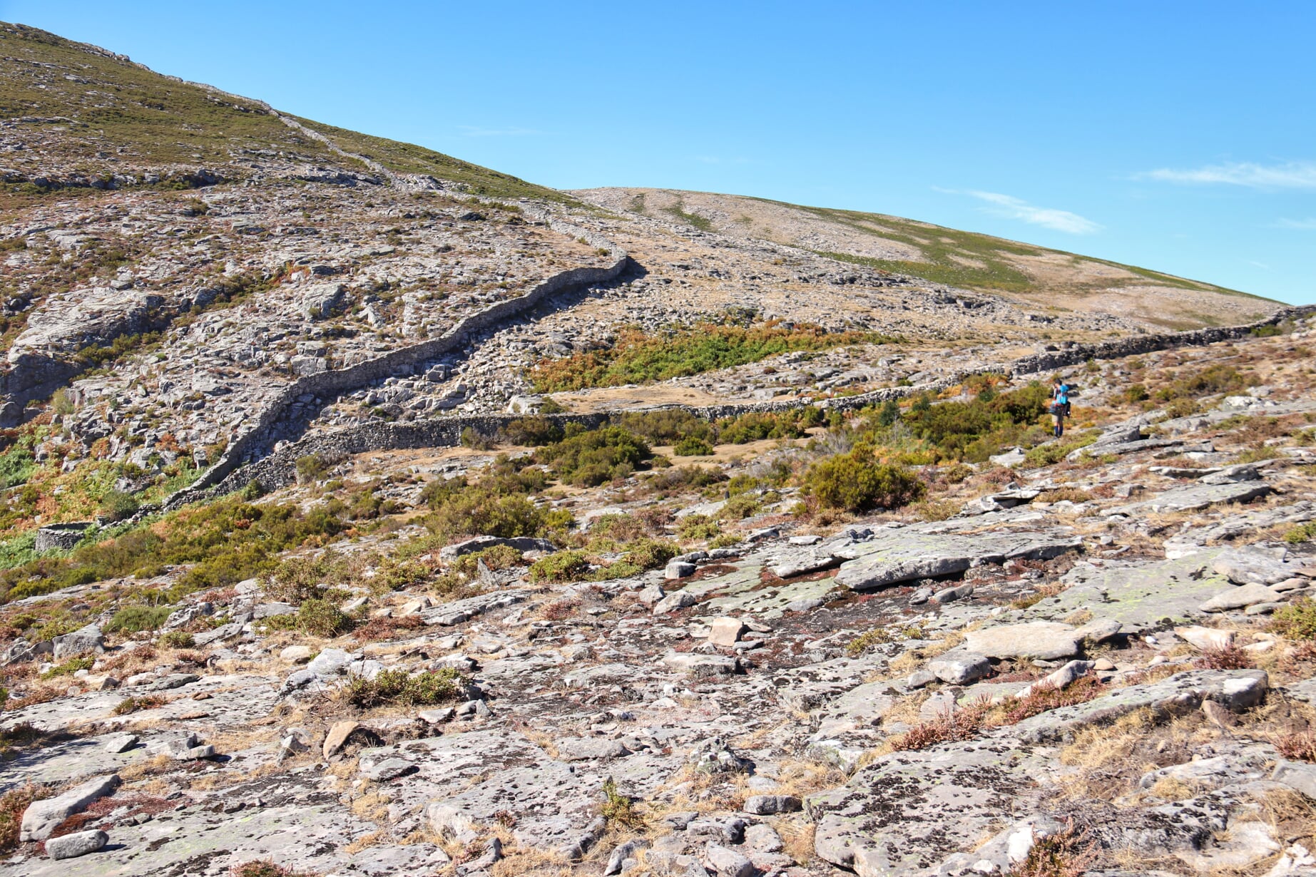 IMG_4261-01 Garranos no Parque Nacional