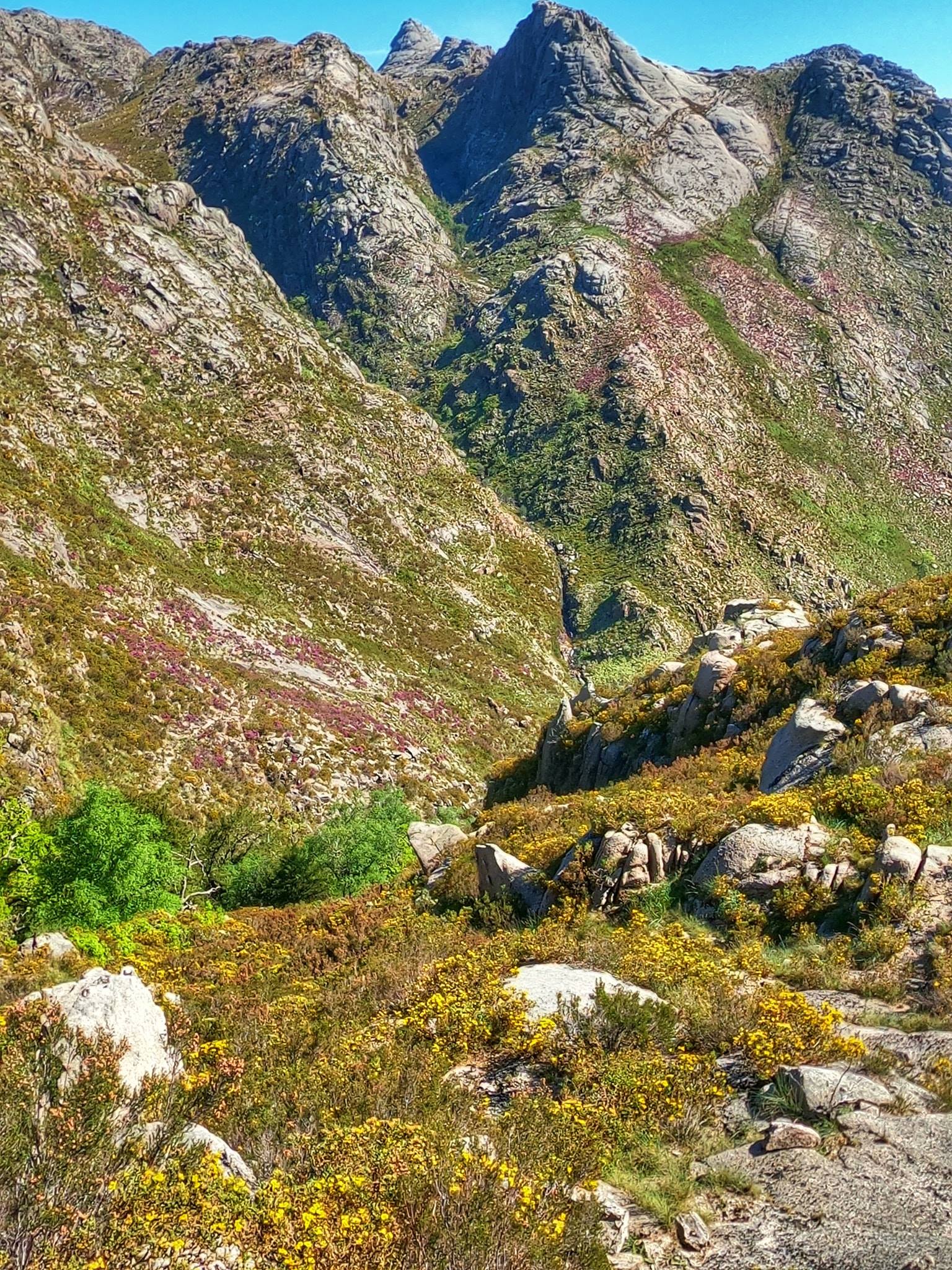 102823367_1564268583736821_1972118015579757449_o Cotelo das Pias