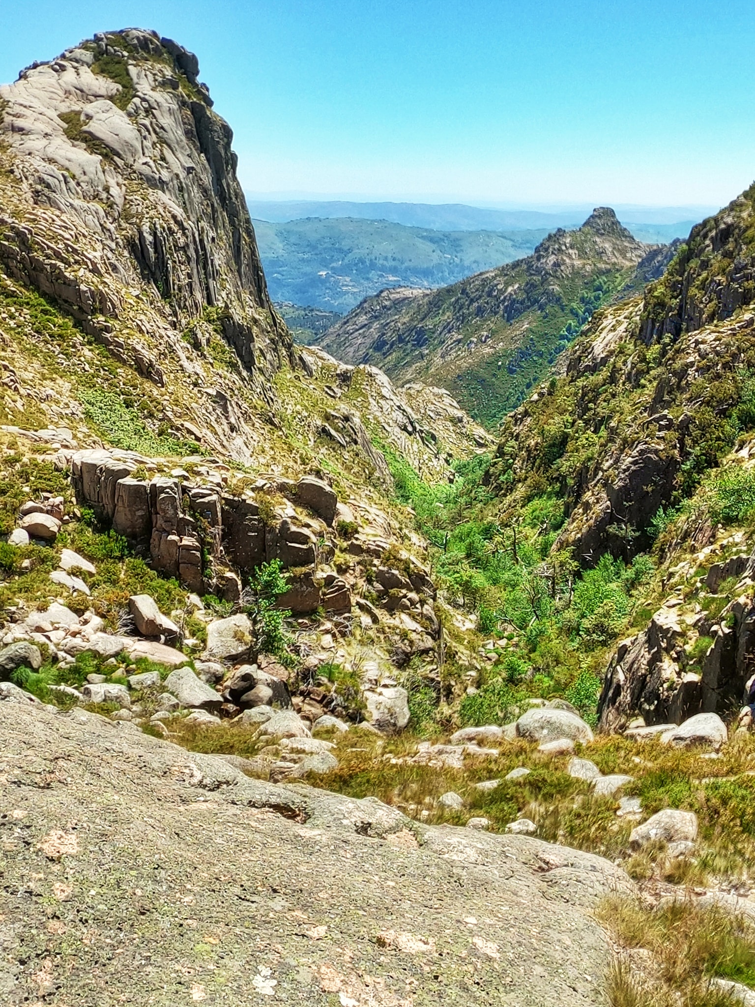 109289058_1597305647099781_3729466340206353593_o-1 Cotelo das Pias