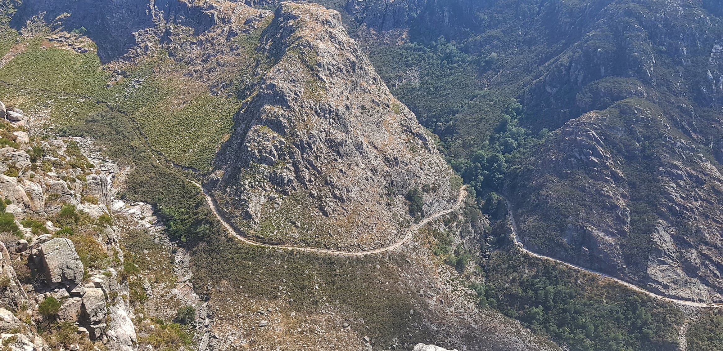 20200823_150355-01 Cabra-Montês – Capra Pyrenaica