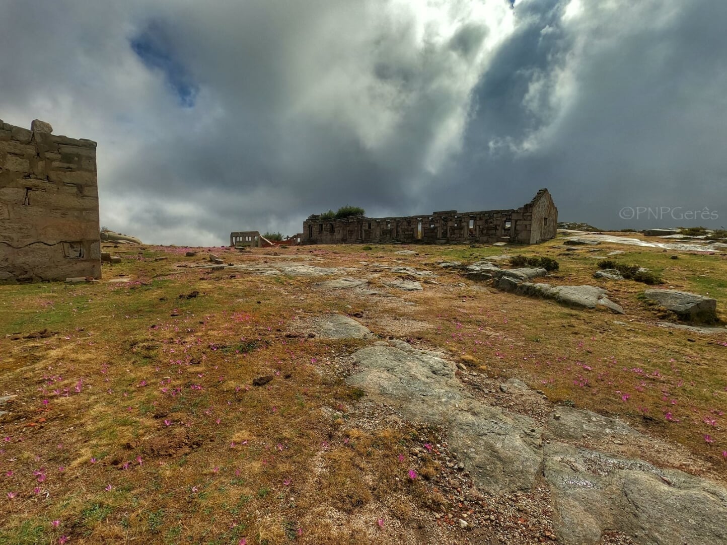 GOPR0775-01 Garranos no Parque Nacional