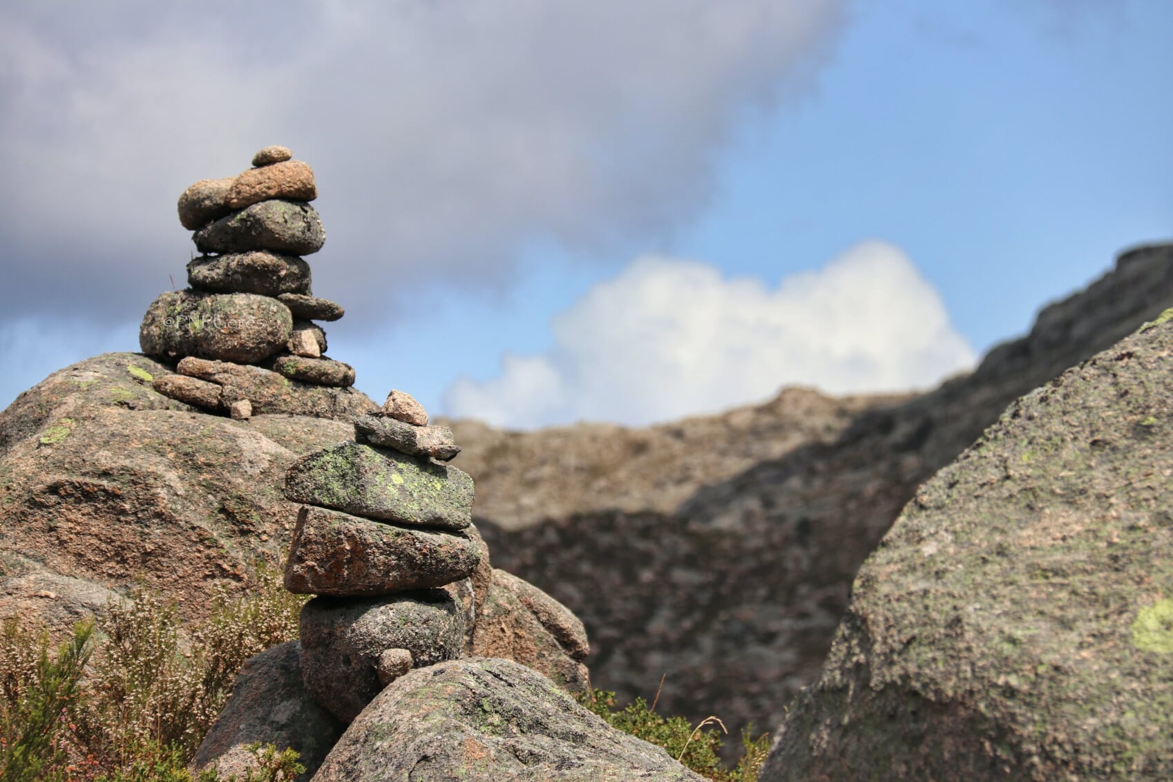 IMG_8872_PNPG-01-1 Garranos no Parque Nacional