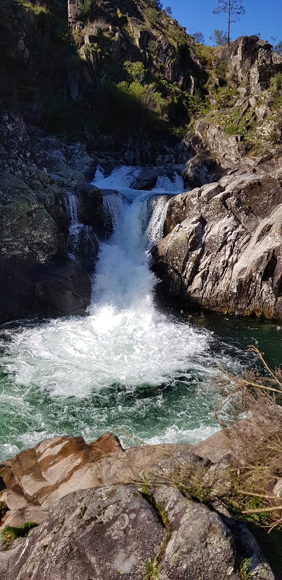 20200307_151602-02 Garranos no Parque Nacional