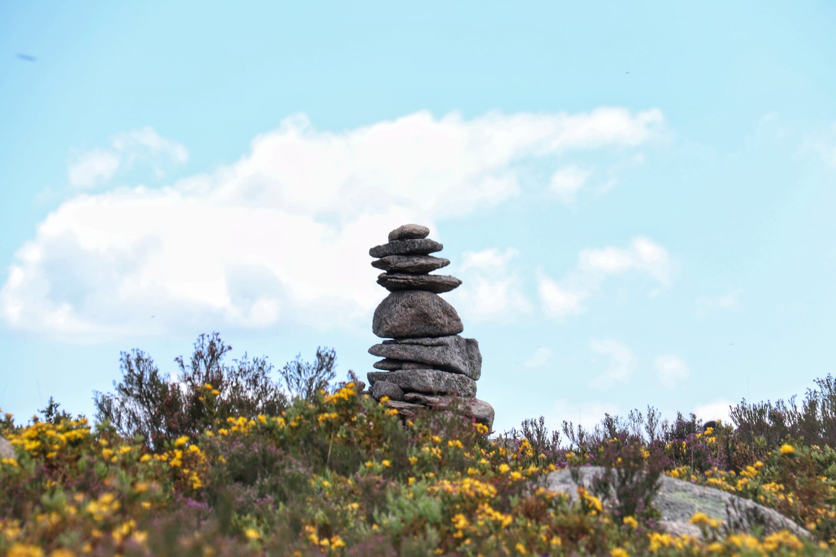 IMG_1294-01 Garranos no Parque Nacional