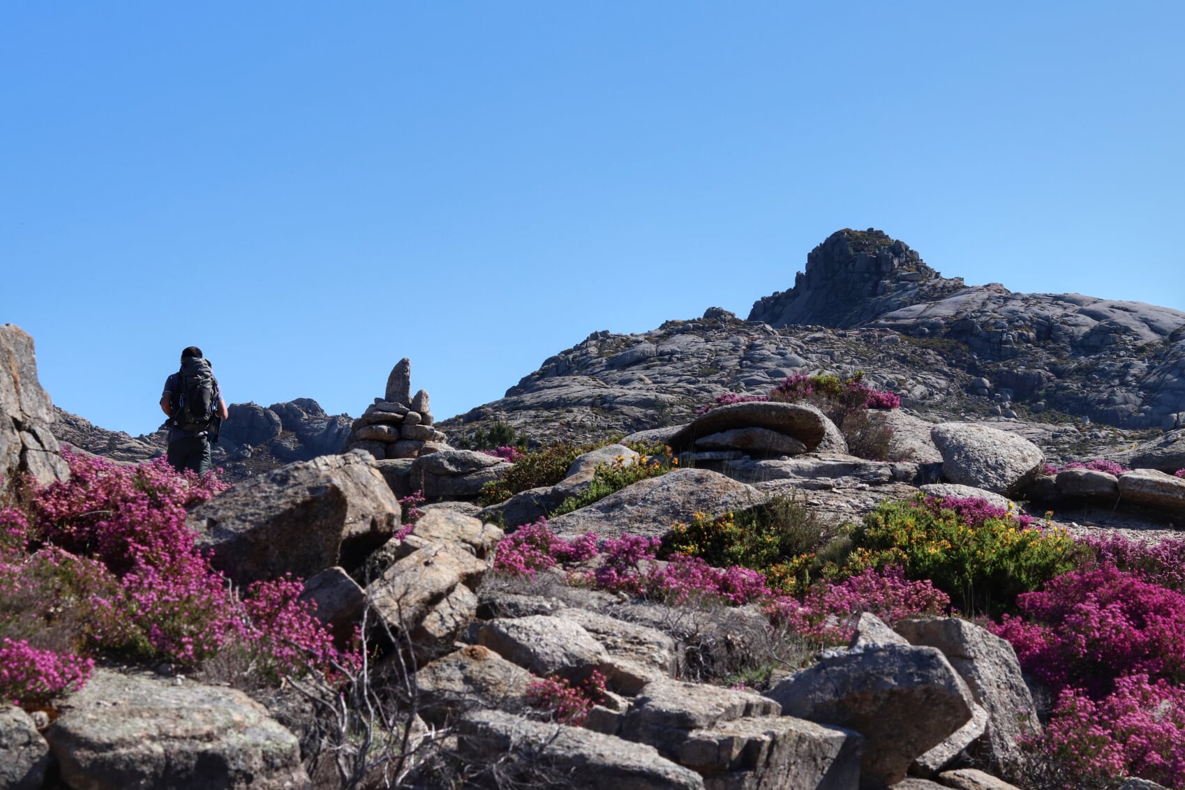 IMG_1053-01 Garranos no Parque Nacional